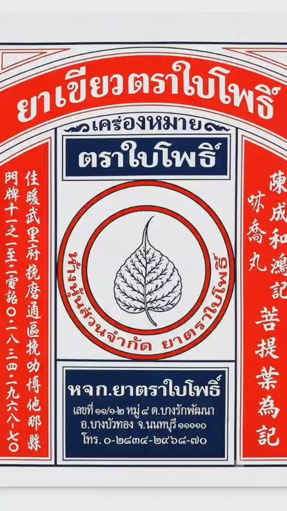 Bai Pho Traditional Cooling Herbal Powder - Ya Khiao (ยาเขียวตราใบโพธิ์)